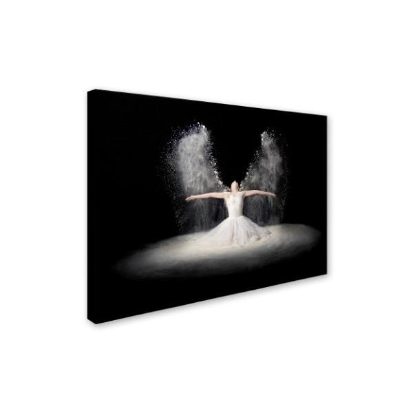 Pauline Pentony 'Flour Wings' Canvas Art,35x47